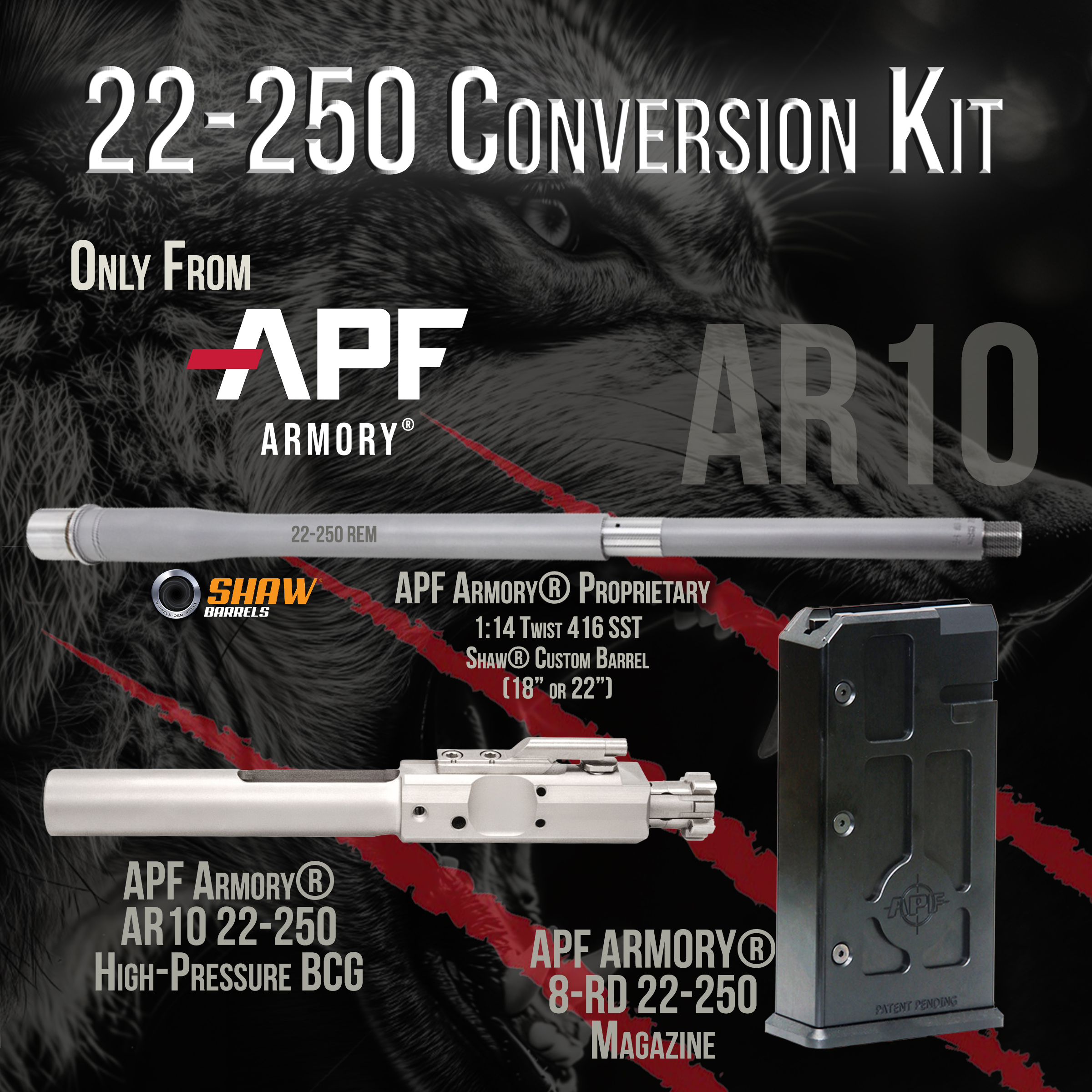22-250-conversion-kit-graphic.jpg