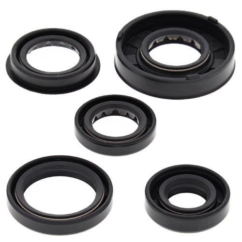 Winderosa Engine Oil Seal Kit for Polaris, 822322
