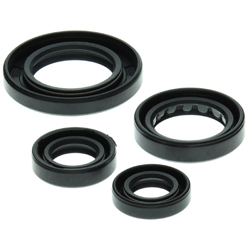 Winderosa Engine Oil Seal Kit for Honda TRX250 Recon 1997 - 2001 250cc
