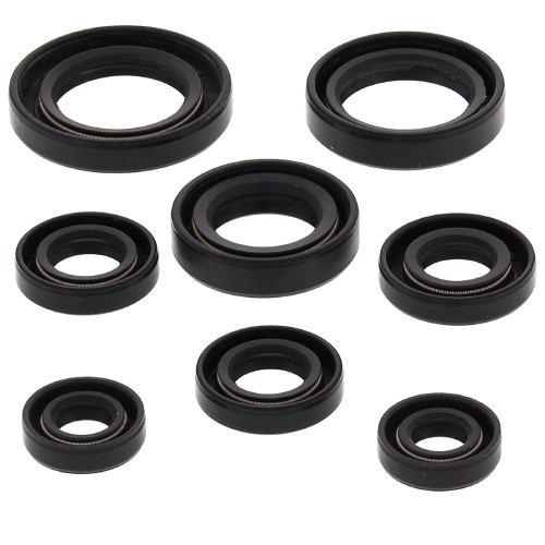 Winderosa Engine Oil Seal Kit for Honda, 822255