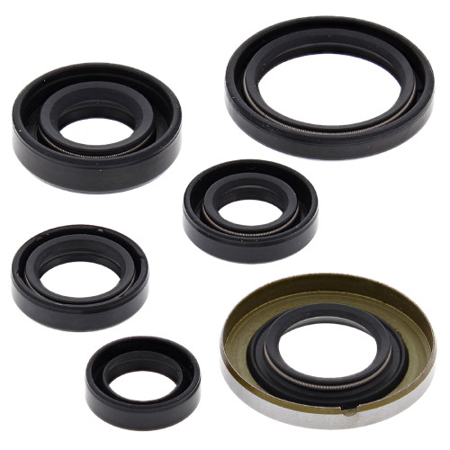 Winderosa Engine Oil Seal Kit for Honda, 822278
