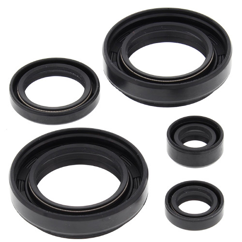 Winderosa Engine Oil Seal Kit for Arctic Cat and Suzuki