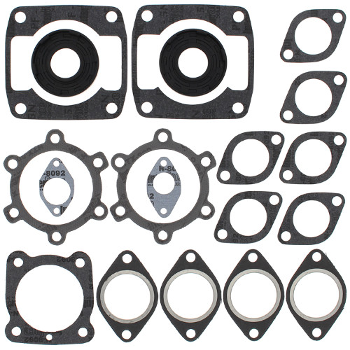 Winderosa Complete Gasket Kit with Oil Seals for Arctic Cat, 711063
