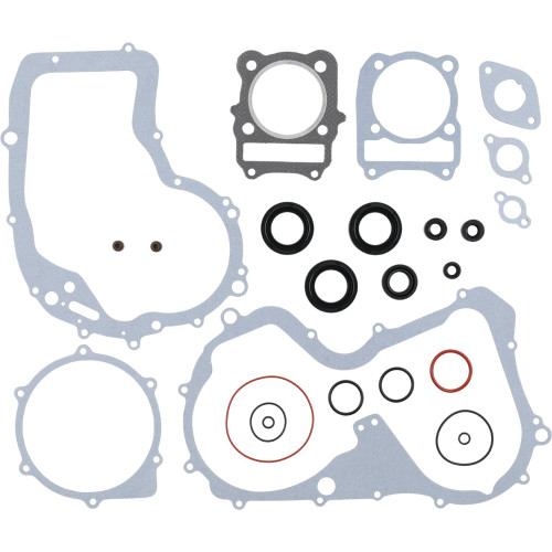 Winderosa Complete Gasket Kit with Oil Seals for Arctic Cat, 811826