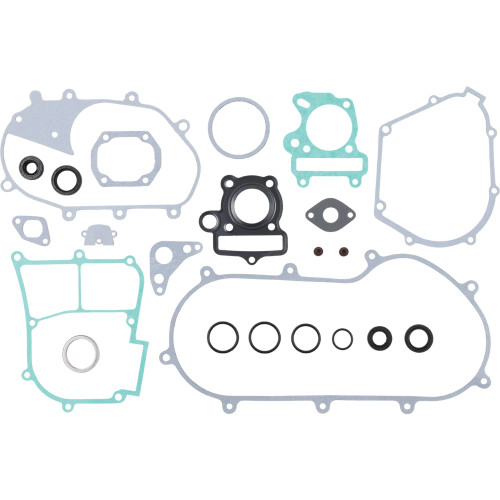 Winderosa Complete Gasket Kit with Oil Seals for Polaris, 811927