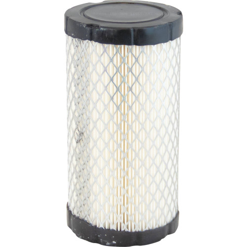 Stens # 100-004 Air Filter/Briggs & Stratton 793569