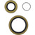 All Balls Racing Crank Shaft Seal Kit 24-2005 for Gas-Gas EC 200 05-17