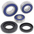 All Balls Racing Wheel Bearing Kit 25-1731 for KTM 390 Duke 15 16 2015 2016