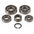 Hot Rods Transmission Bearing Kits for Suzuki RM 60 (03) TBK0116
