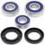 All Balls Racing Wheel Bearing Kit 25-1603 for Honda XL 600 V Transalp 97-99