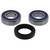 All Balls Racing Wheel Bearing Kit 25-1051 for Suzuki DR 650 SE 06-16