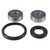 All Balls Front Wheel Bearing Kit 25-1743 for Kawasaki EX 250 Ninja 08-12