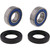 All Balls Wheel Bearing Kit Front Beta EVO 80 09-11, REV 2T 125 04-08, 25-1070
