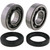All Balls Crank Bearing and Seal Kit 24-1064 for Yamaha IT200 84-86
