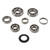 Hot Rods Transmission Bearing Kits for Honda CR 250 R (05-07) TBK0044
