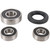 Pivot Works Wheel Bearing Kit PWRWS-Y01-000 for Yamaha XV250 1989-2018