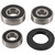 Pivot Works Wheel Bearing Kit PWRWS-S13-000 for Suzuki GN 125 98 99 00 01
