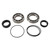 Pivot Works Wheel Bearing Kit PWRWK-K30-000 for Kawasaki KFX 700 V-force 04-09
