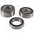 Pivot Works Wheel Bearing Kit PWRWS-H17-000 for Honda CTX 1300 2014