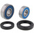 Pivot Works Wheel Bearing Kit PWRWK-Y43-000 for Yamaha CT175 1972