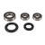 Pivot Works Wheel Bearing Kit PWRWS-Y04-000 for Yamaha YZF600R 1995-2007
