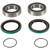 Pivot Works Wheel Bearing Kit PWRWK-P05-000 for Polaris 300 2x4 1994-1995