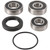 Pivot Works Wheel Bearing Kit for Honda VT 125 C 99 00 01 02 03 04 05 06 07