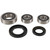 Pivot Works Wheel Bearing Kit PWRWS-S14-000 for Kawasaki KLV 1000 2004-2005