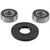 Pivot Works Wheel Bearing Kit PWFWK-H36-521 for Honda CR 125 R 1982-1983