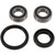Pivot Works Wheel Bearing Kit PWFWK-H13-046 for Honda CRM 250 AR 1996-1999
