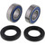 Pivot Works Wheel Bearing Kit PWFWS-K13-000 for Kawasaki VN 900 B Classic 06-17