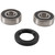 Pivot Works Wheel Bearing Kit PWFWK-S40-000 for Suzuki DR 250 1990-1993