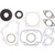Complete Gasket Kit with Oil Seals for Yamaha 300 SM 1973 300cc