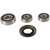 Pivot Works Wheel Bearing Kit (PWRWS-S10-000) for Suzuki DR800 (Euro) 90-97