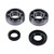Main Bearing and Seal Kit For KTM 50 SX 2006-2008, 50 SX PRO JR 2004-2008; K089