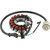 New Honda ATV Stator Coil Denso Version, Not Sealed in Epoxy for RX350FE Rancher