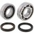 Hot Rods Main Bearing & Seal Kits K095 for Honda CRF 450 R 17-18
