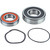 Bearing Kit, Ball for EMP 1370028083 130-01192