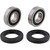 Pivot Works Wheel Bearing Kit PWFWS-H31-000 for Honda CB 1000 R 2009-2015