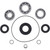 Differential Bearing and Seal Kit Rear Can-Am Outlander 1000 STD 25-2106