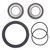 All Balls Wheel Bearing Seal Kit for Polaris