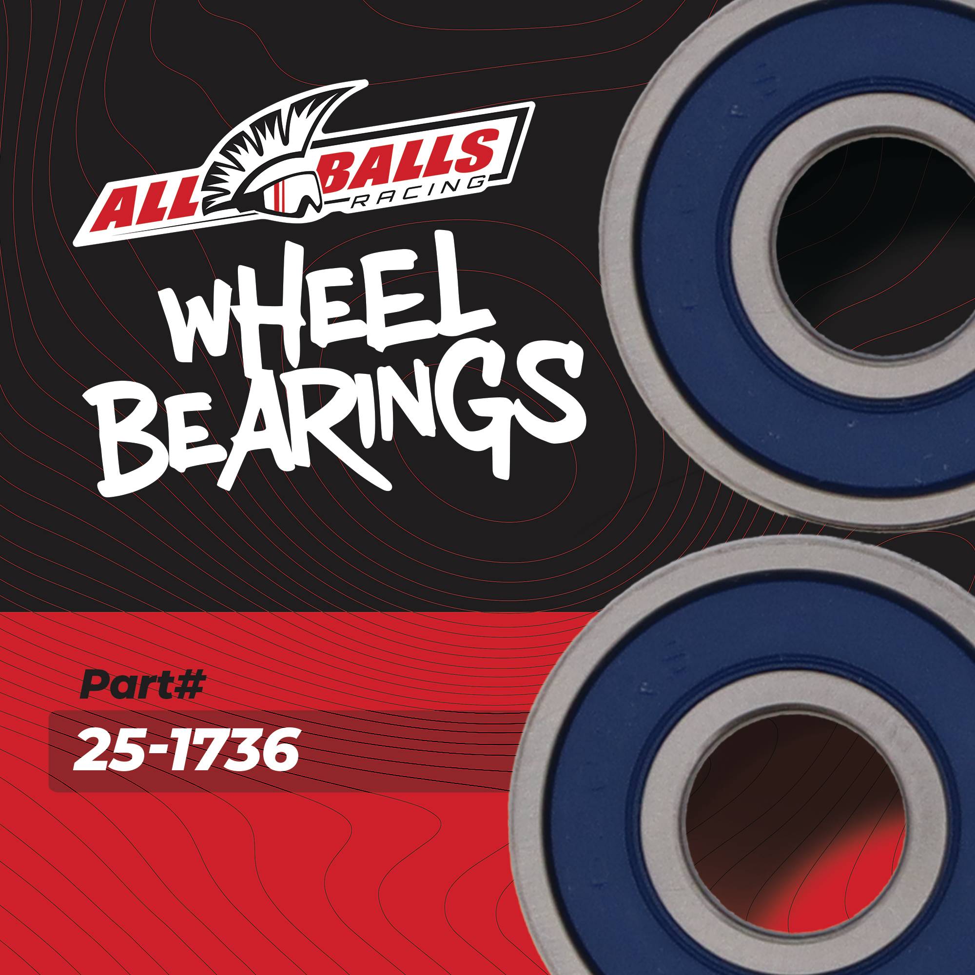 All Balls Racing Wheel Bearing Kit 25-1736 for Kawasaki Z125 PRO 18