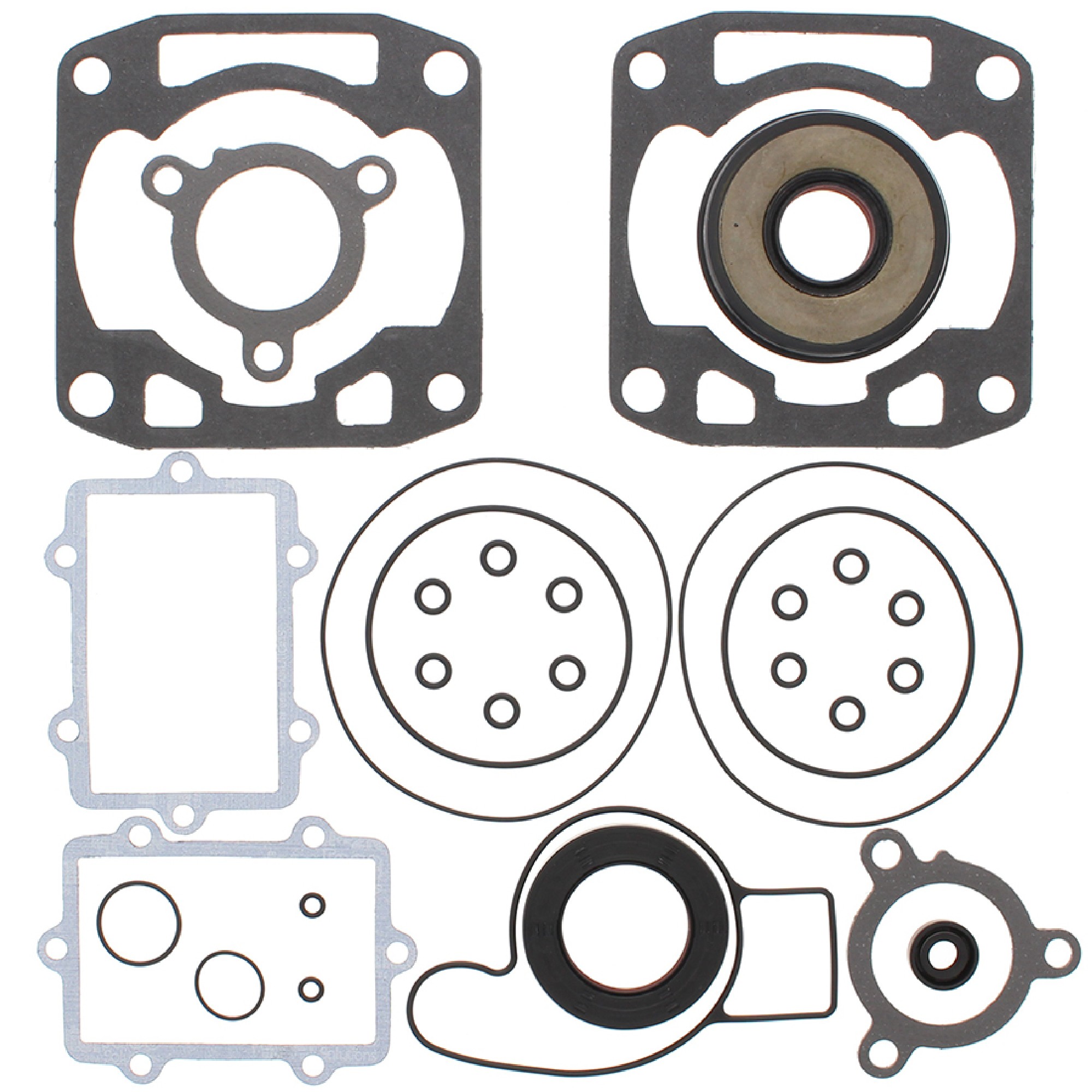 Winderosa Complete Gasket Kit with Oil Seals for Arctic Cat, 711290