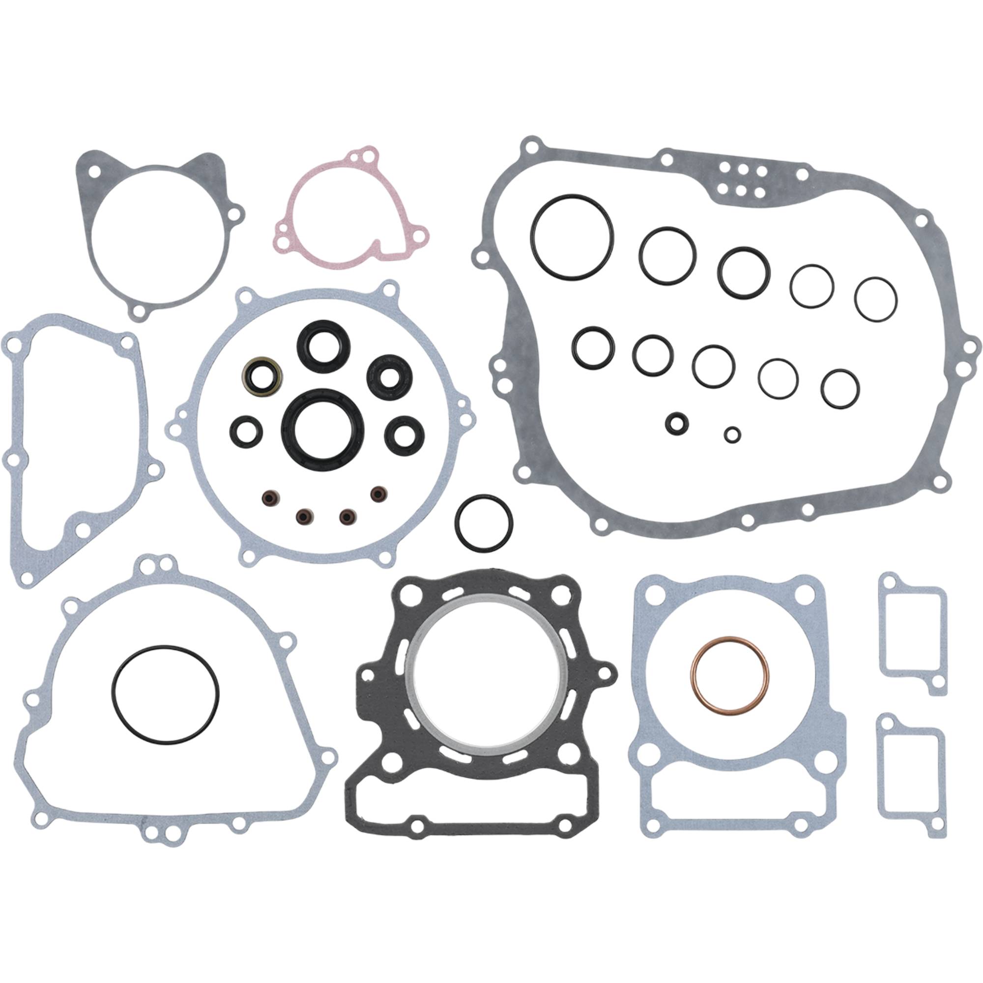 Complete Gasket Kit With Seals; 8110071