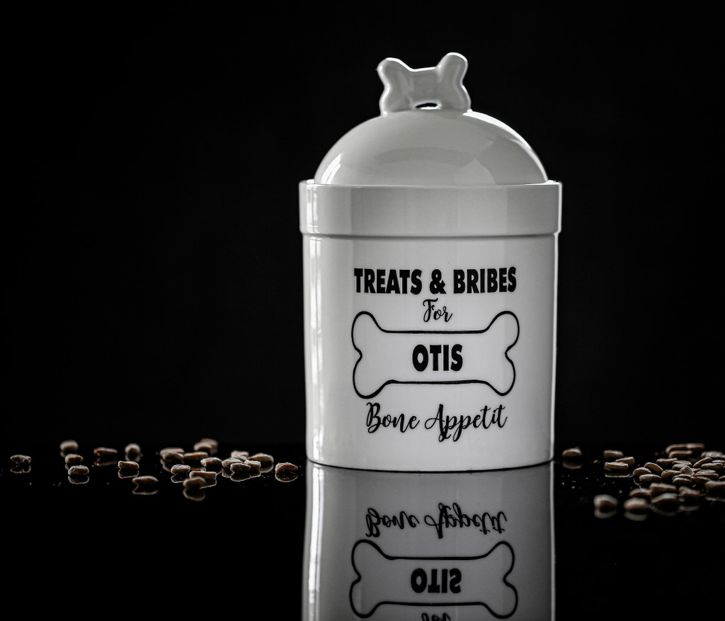 Personalized Doggy Treat Jar