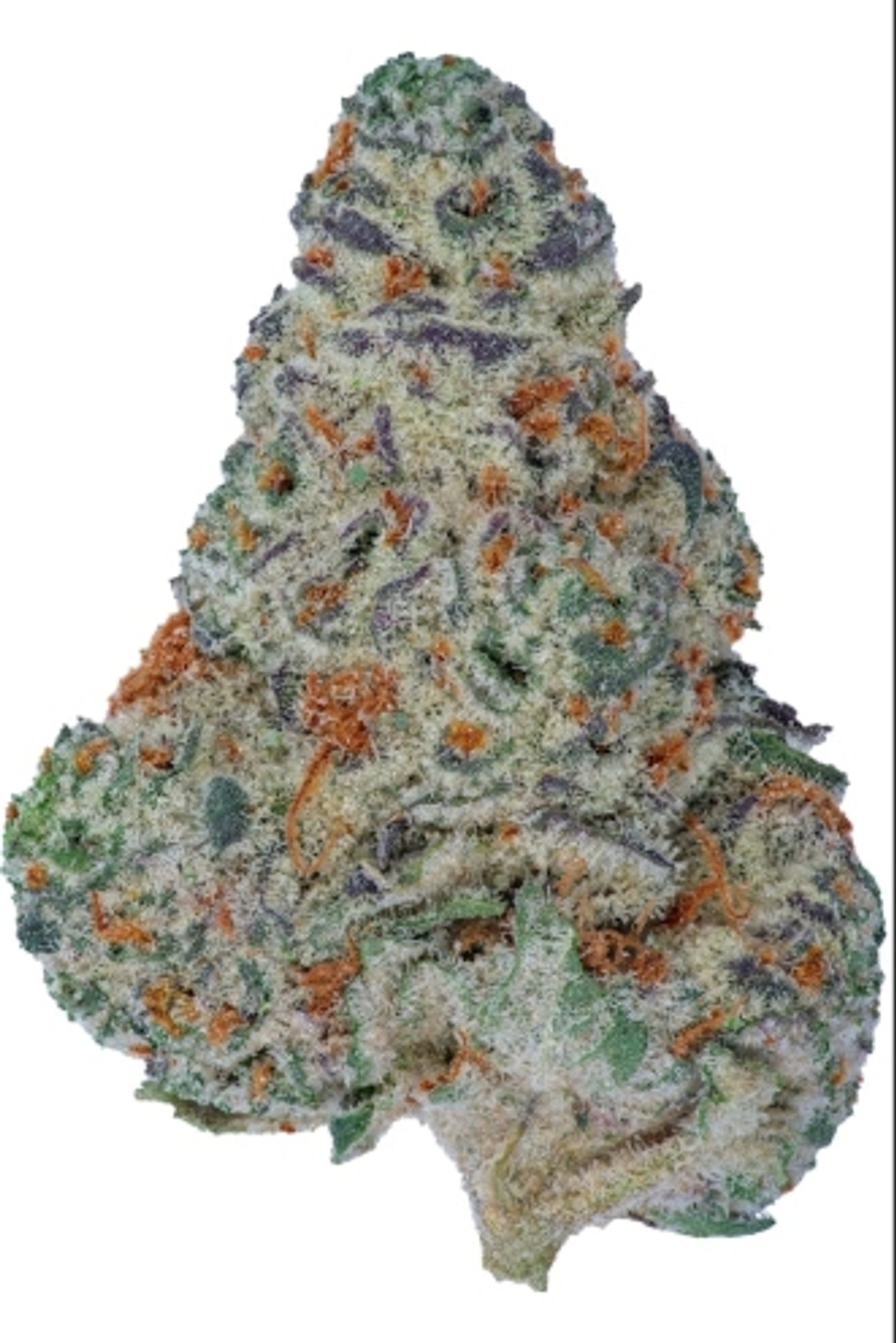 Dante's Inferno Exotic High THCa Flower Dante's Inferno Exotic High THCa Flower