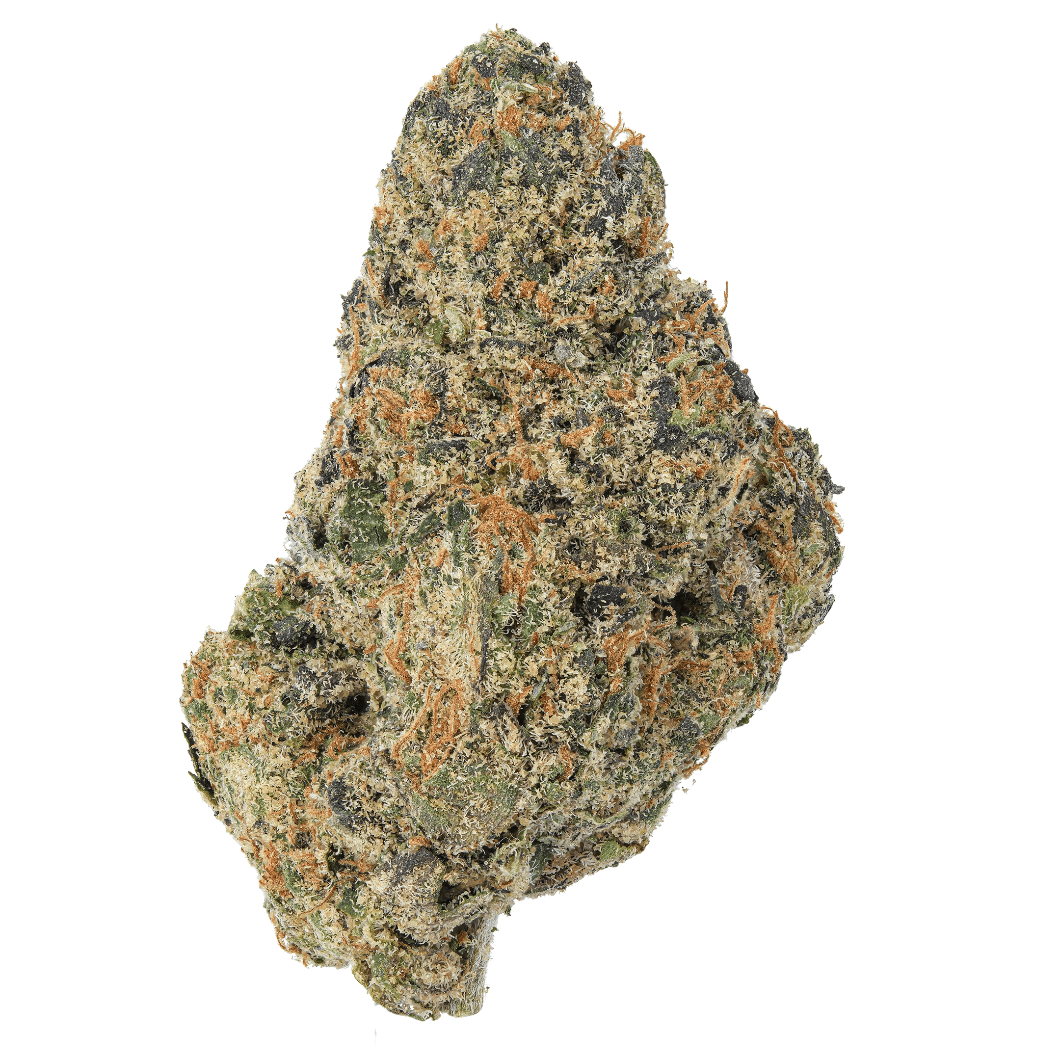 Apple Fritter strain THCa flower