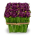 Dark Purple