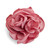 Pink Chiffon Rosette Embellishment