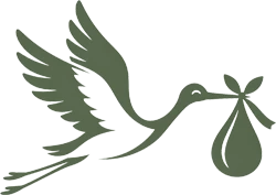 stork